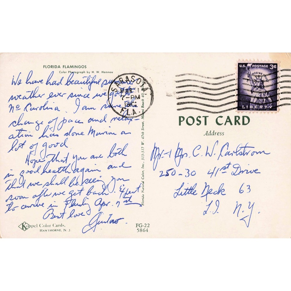 Vtg Florida Flamingos Black Swans Postcard H.W. Hannau Sarasota 3c Stamp FG-22 - Picture 2 of 2